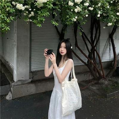 与鲨同游